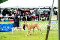 20230702-DSC01882