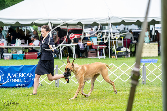 20230702-DSC01882
