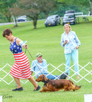 20230702-DSC04334