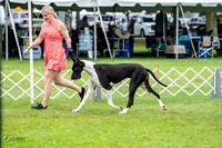 20230702-DSC01878