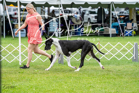 20230702-DSC01878
