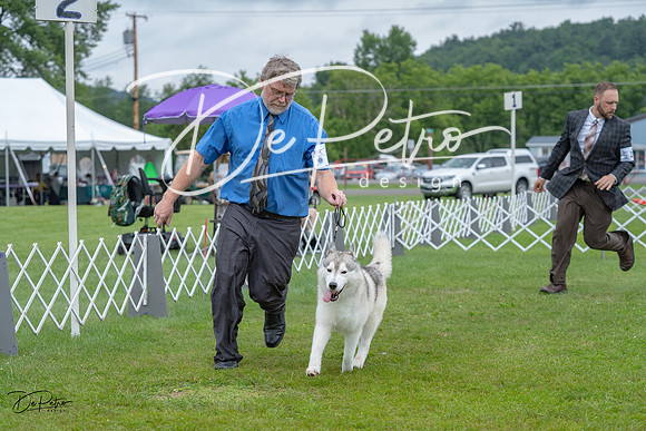 20230702-DSC01803