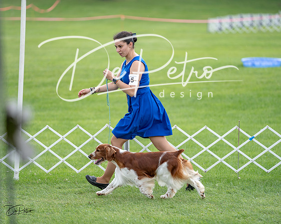 20230701-DSC08475