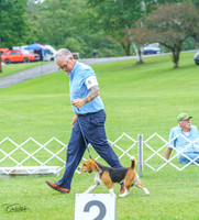 20230702-DSC04329