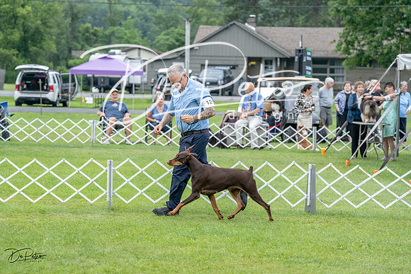 20230702-DSC00814