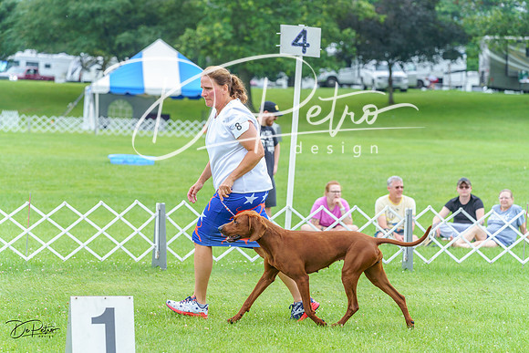 20230702-DSC04393
