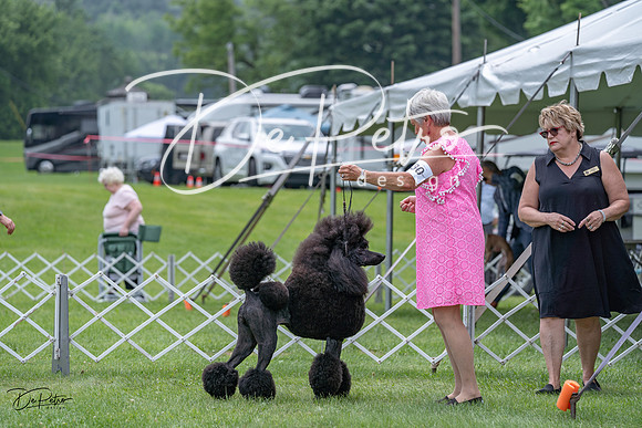 20230701-DSC00845