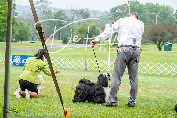 20230701-DSC00051