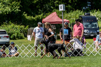 20190609-DSC09417