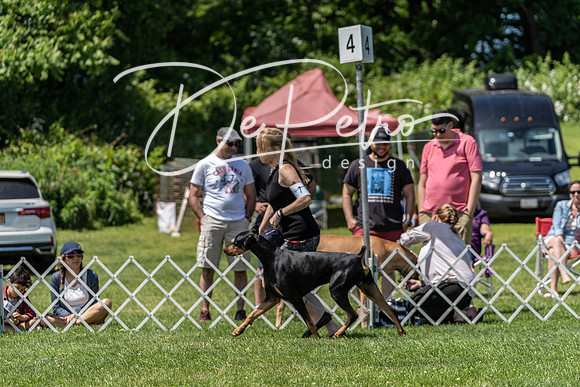 20190609-DSC09417