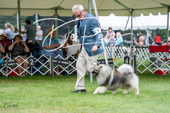 20230701-DSC09856