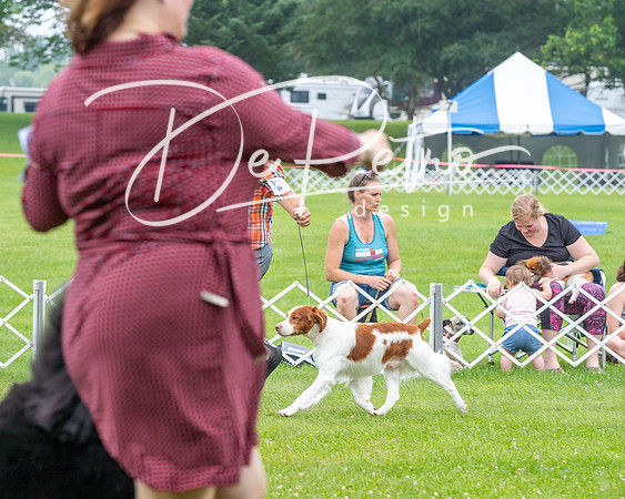 20230701-DSC00484