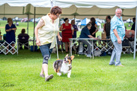 20230701-DSC01583