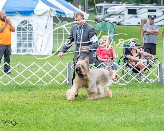 20230702-DSC04183