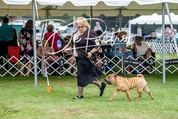 20230701-DSC09841
