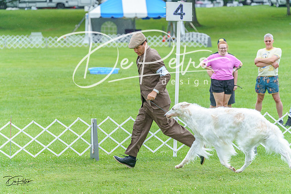 20230702-DSC04522