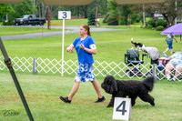 20230702-DSC03563