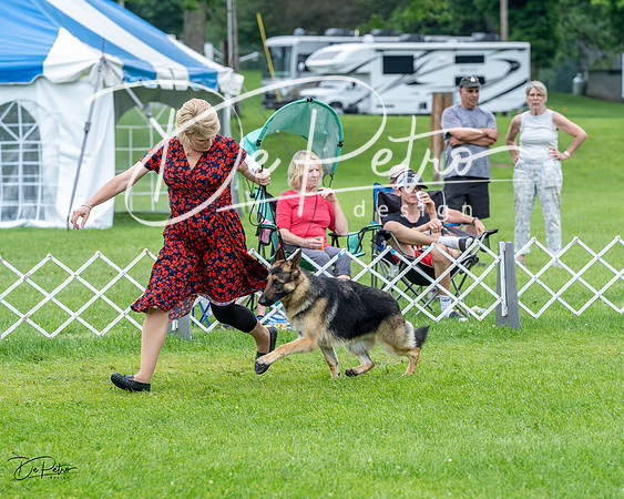 20230702-DSC04173