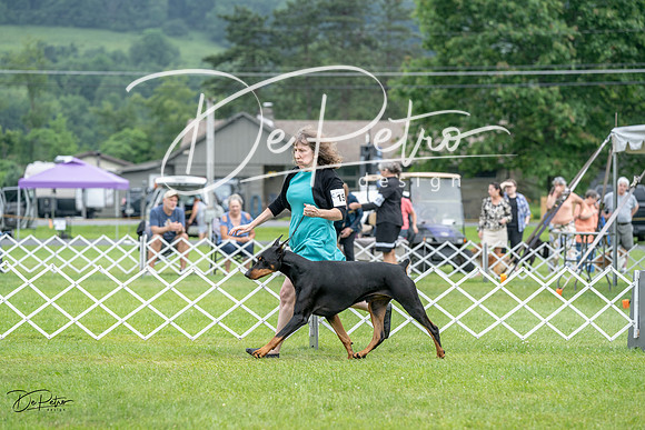 20230702-DSC00881