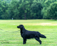 20250627-DSC06834