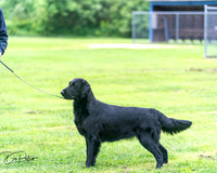 20250627-DSC06897