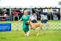 20230702-DSC01836