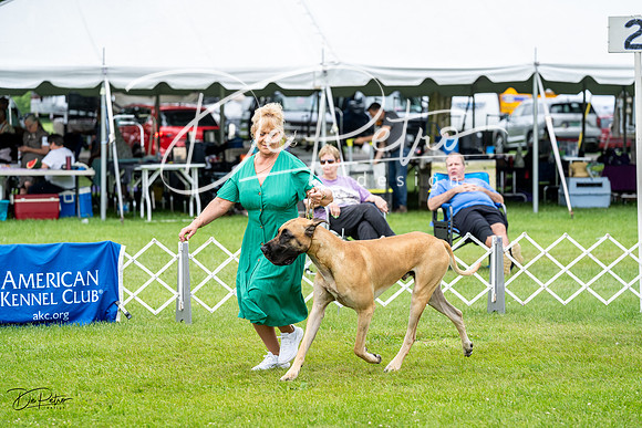 20230702-DSC01836