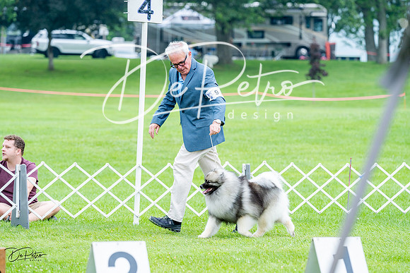 20230701-DSC09942