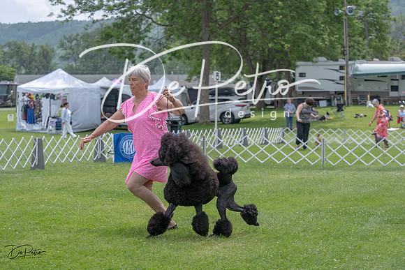 20230701-DSC00839