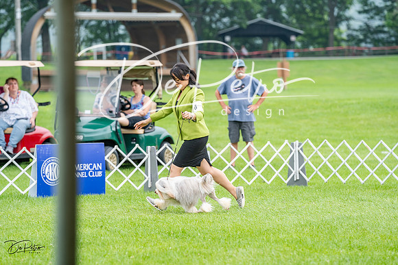 20230701-DSC09995