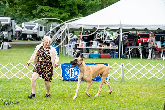 20230702-DSC01906