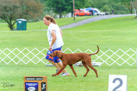 20230702-DSC04300