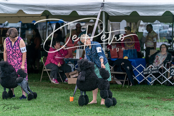 20240629-DSC05706