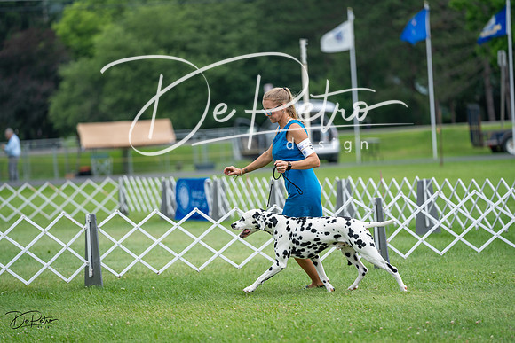 20230701-DSC08308