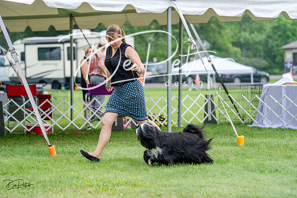 20230701-DSC09906