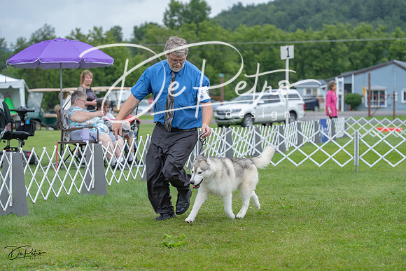 20230702-DSC01626