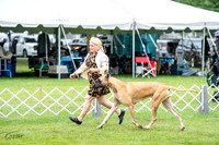 20230702-DSC01866