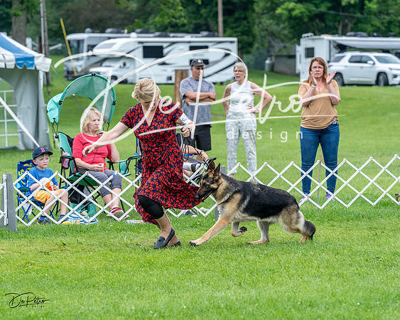 20230702-DSC04169
