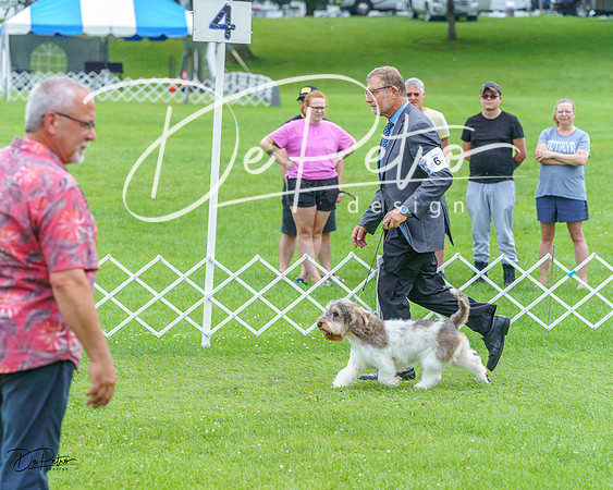 20230702-DSC04593