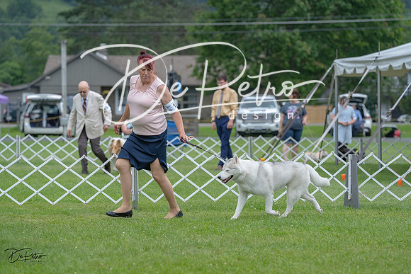 20230702-DSC01691