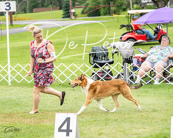20230702-DSC03925