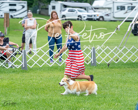 20230702-DSC04245