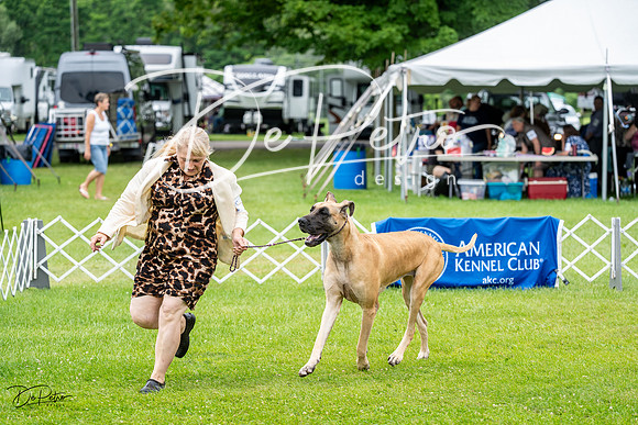 20230702-DSC01911