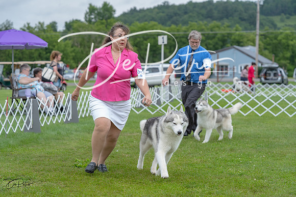 20230702-DSC01798