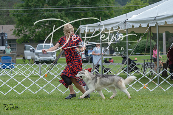 20230702-DSC01388