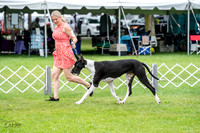 20230702-DSC01875