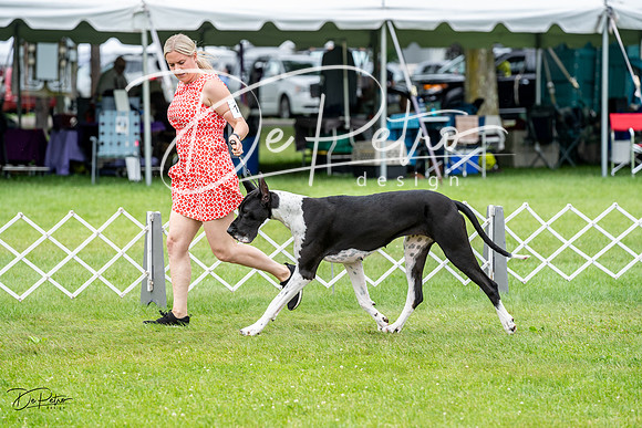 20230702-DSC01875