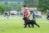 20230702-DSC01266