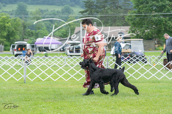 20230702-DSC01266