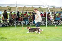 20230701-DSC01579